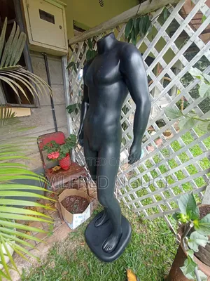 Male Mannequin