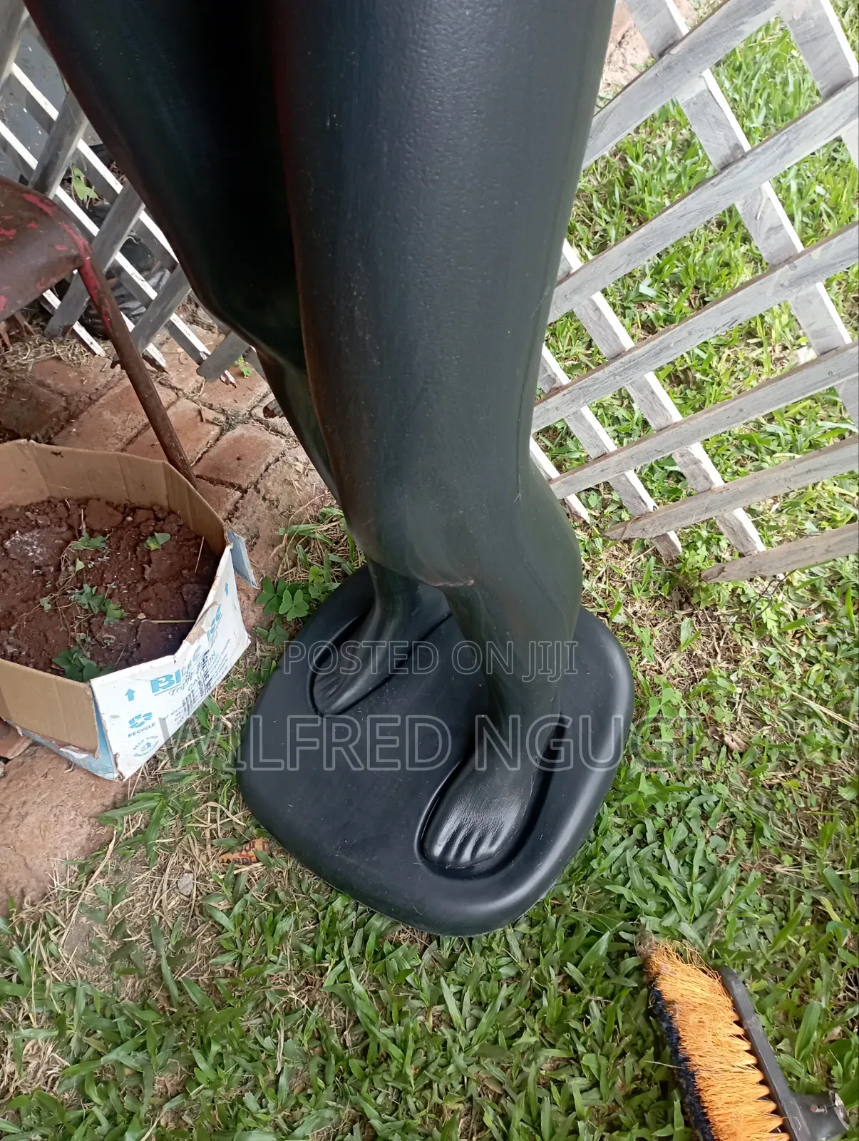 Male Mannequin