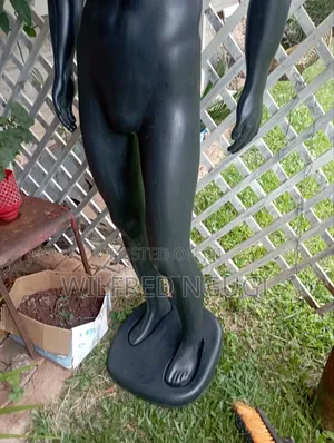 Male Mannequin