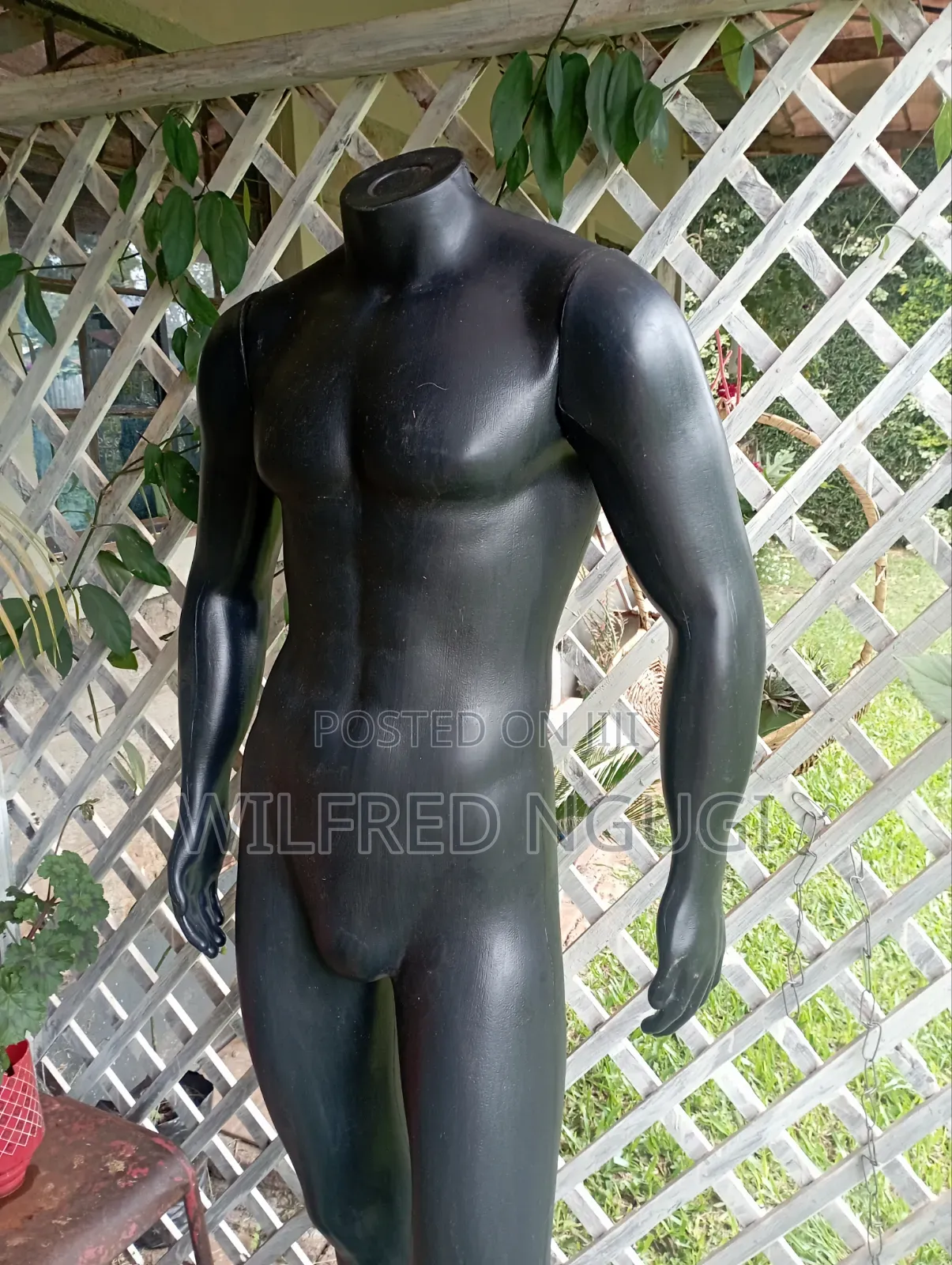 Male Mannequin