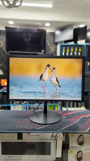 Lenovo Thinkvision T2424z