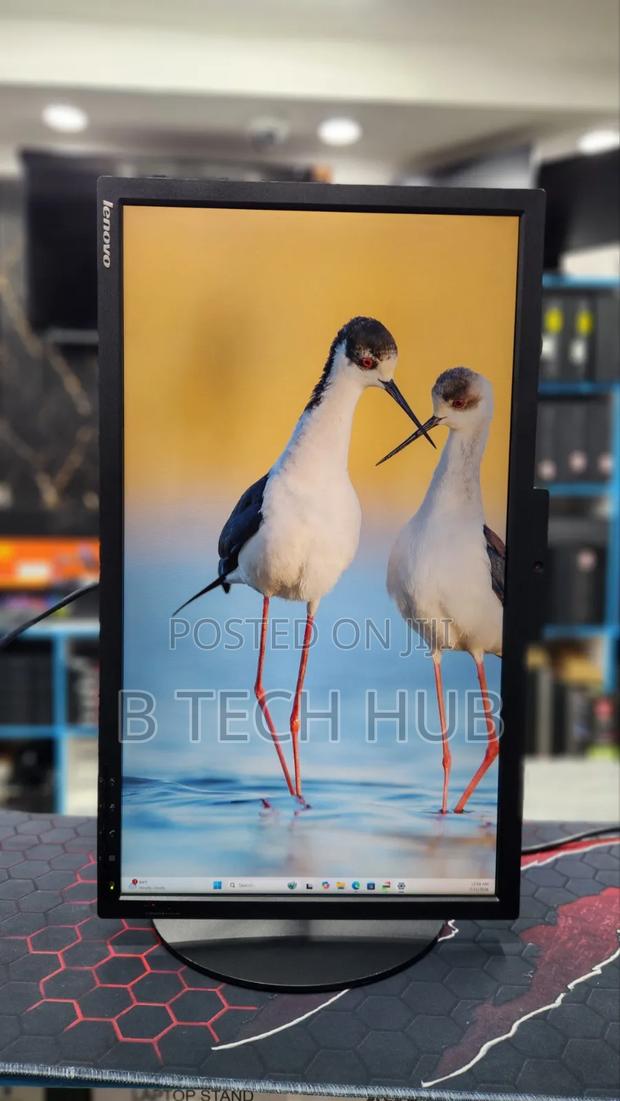 Lenovo Thinkvision T2424z - thumbnail 3