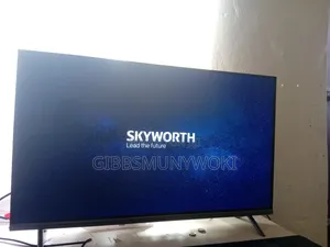 Sky Worth Tv
