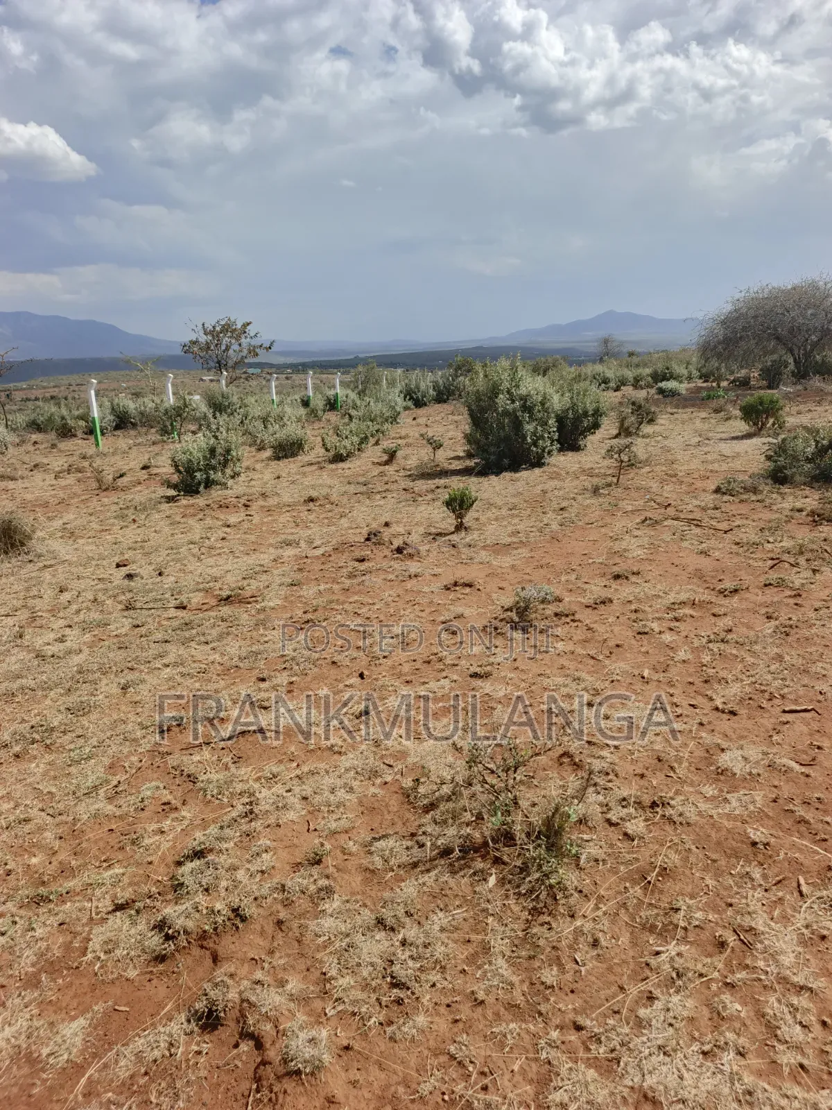 Land for Lease