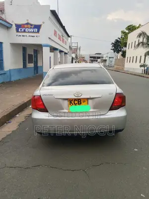 Toyota Axio 2008 Gray
