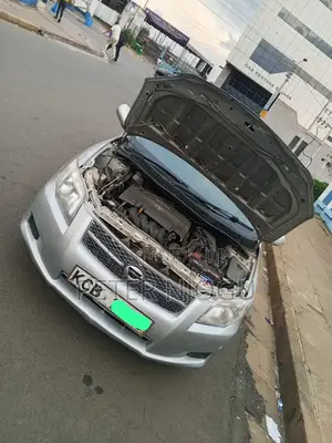 Toyota Axio 2008 Gray