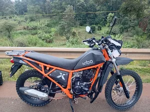 Kibo K250 2024 Orange