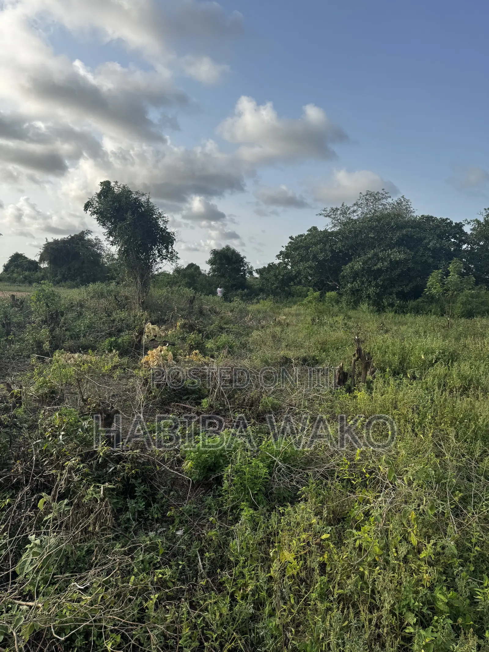 1ha Prime Investment Land for Sale