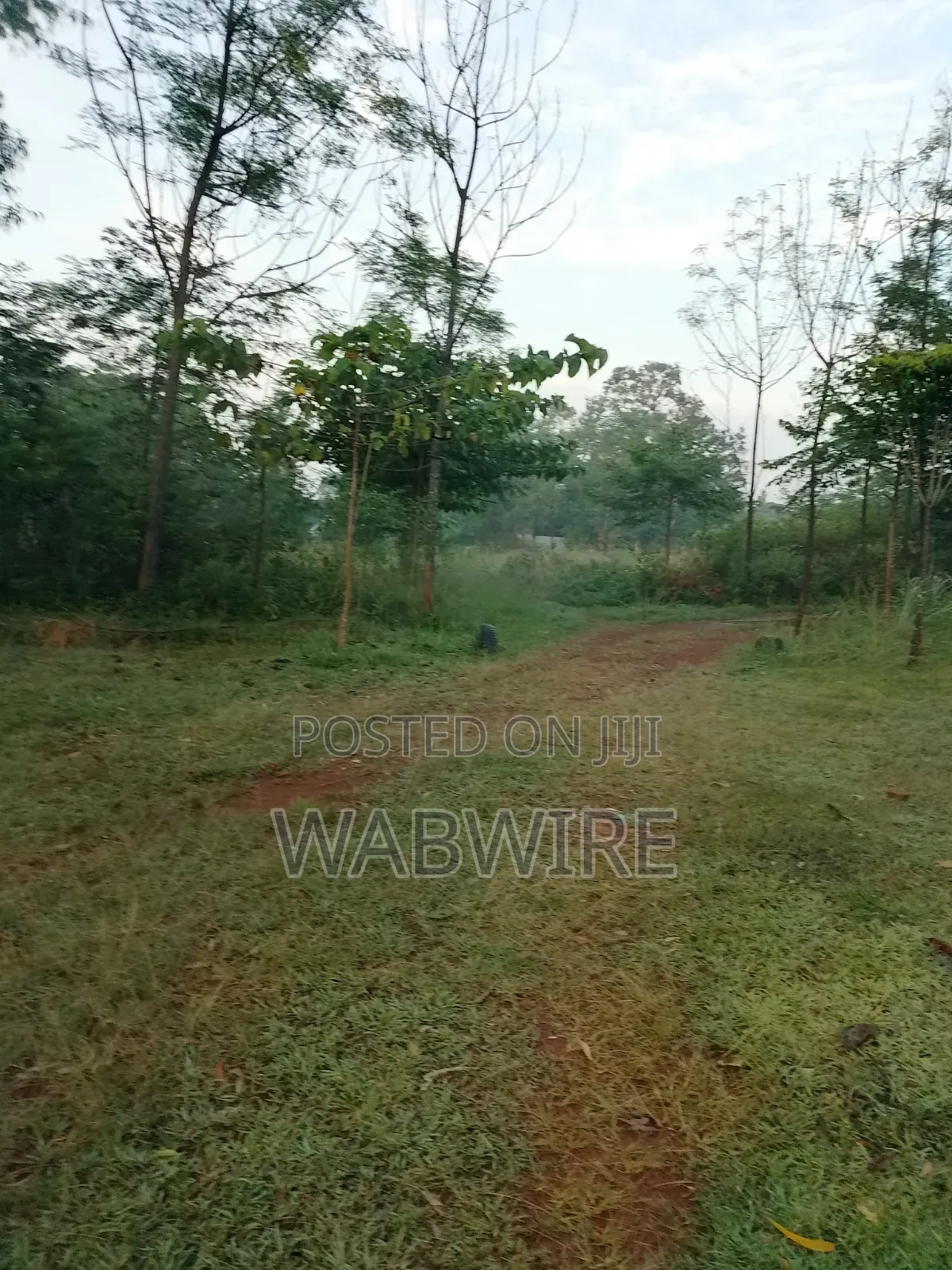 Land Measuring 2.25 Acres or 18 Plots