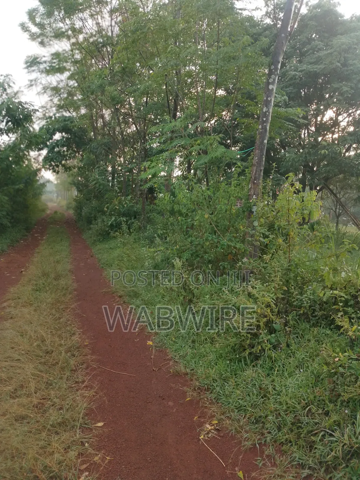 Land Measuring 2.25 Acres or 18 Plots