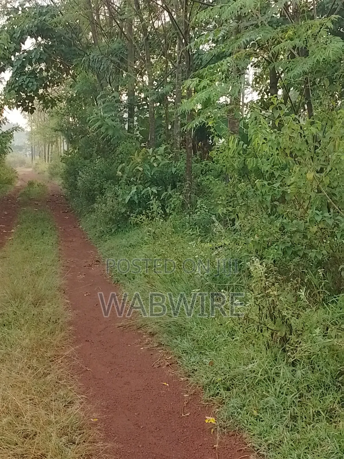 Land Measuring 2.25 Acres or 18 Plots