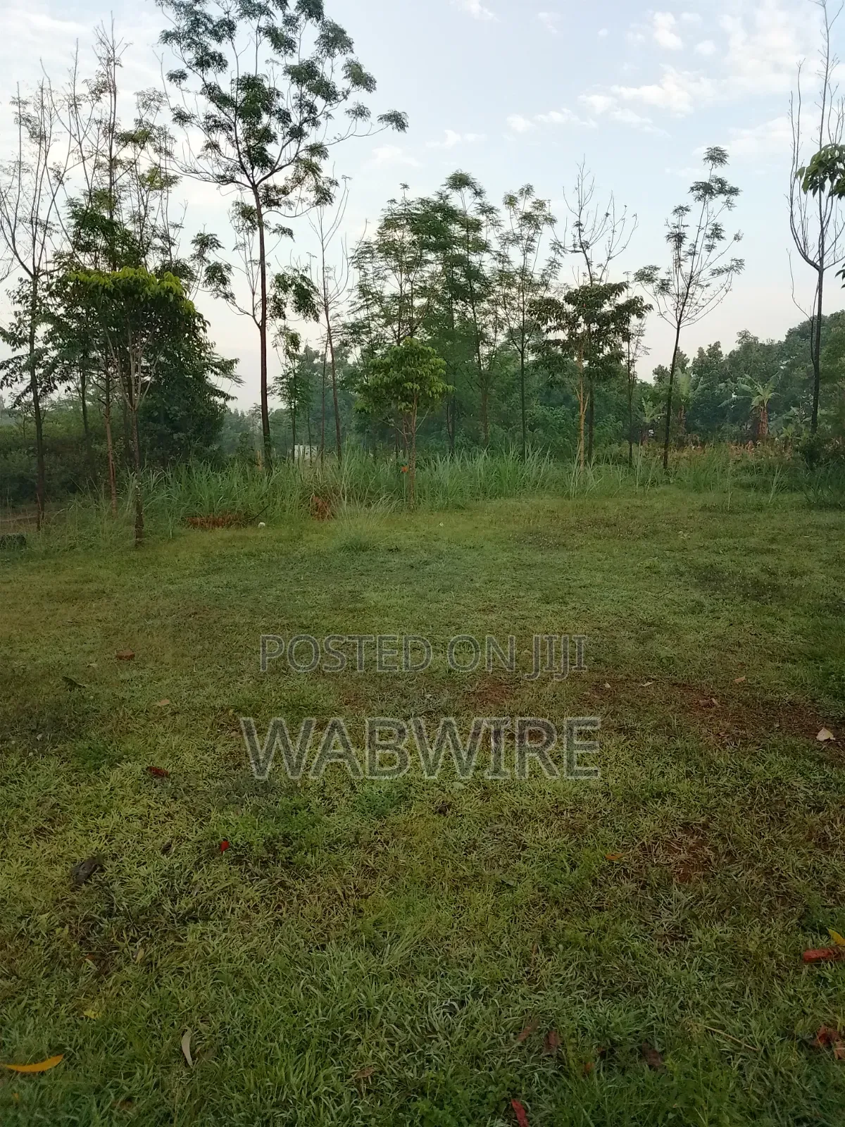Land Measuring 2.25 Acres or 18 Plots