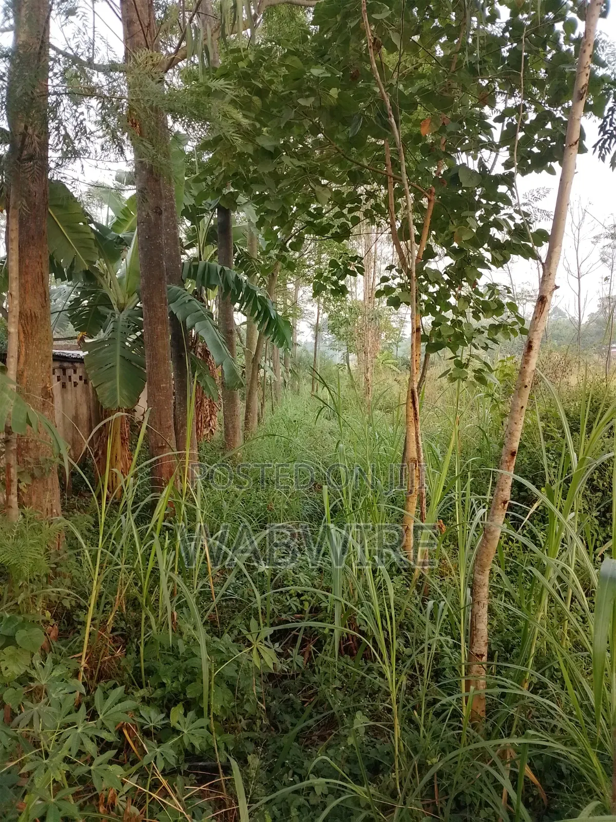 Land Measuring 2.25 Acres or 18 Plots