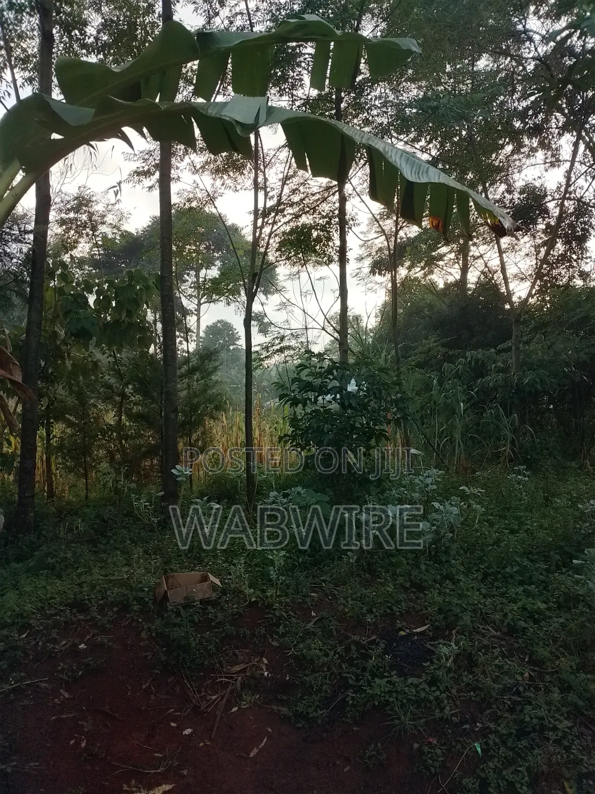 Land Measuring 2.25 Acres or 18 Plots