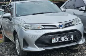 Toyota Axio 2019 Silver