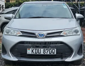 Toyota Axio 2019 Silver
