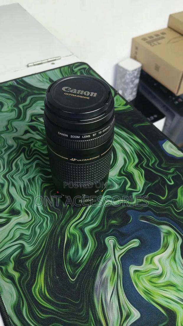 Telephoto Zoom Lens (Full-Frame Aps-C Compatible DSLR Lens)