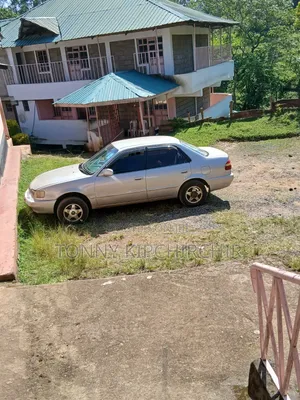 Toyota Corolla 1999 Gray