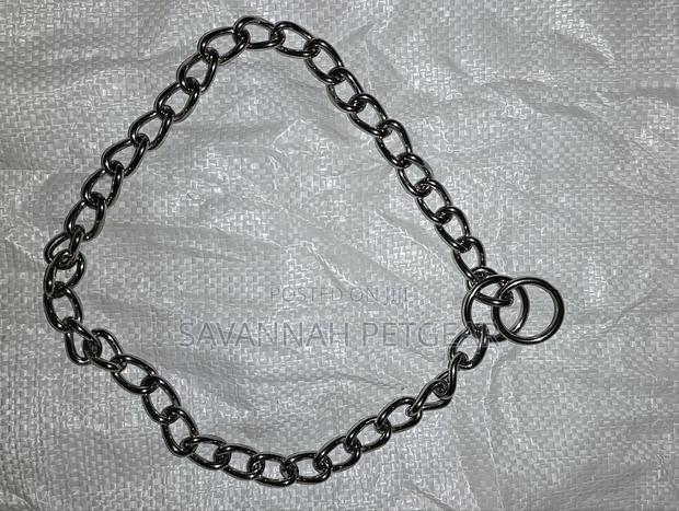 Heavy Duty Chrome-Plated Steel Dog Training Choker Chain Slip Collar