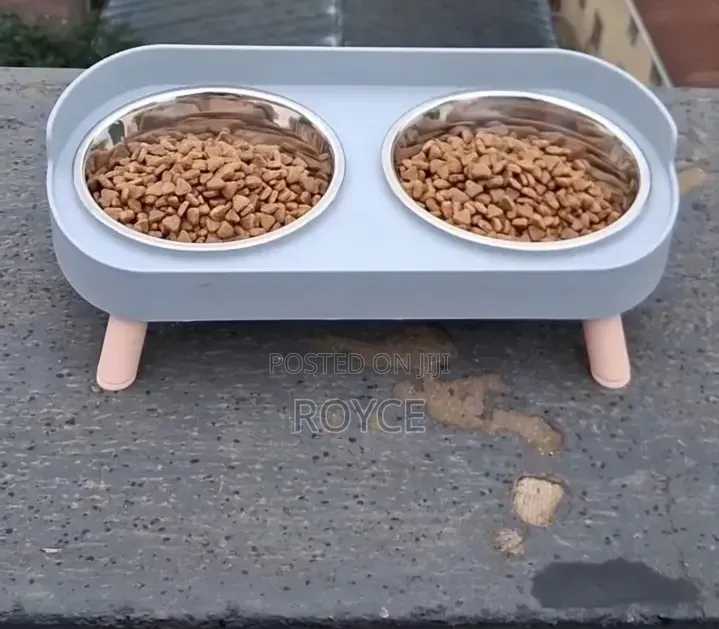 Pet Feeding Bowl Set