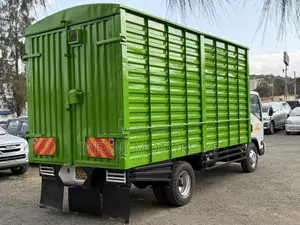 Isuzu NQR 2022