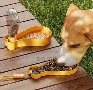 2 in 1 Pet Feeder