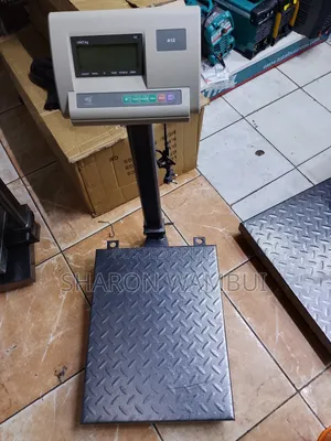 Commercial A12 300kg Weighing Scale/300kg A12 Digital Scale
