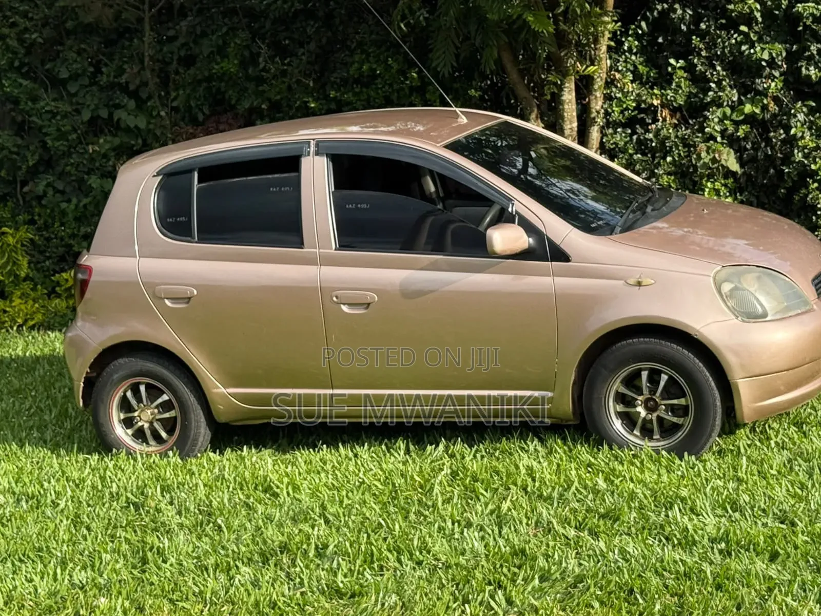 Toyota Vitz 2002 Gold