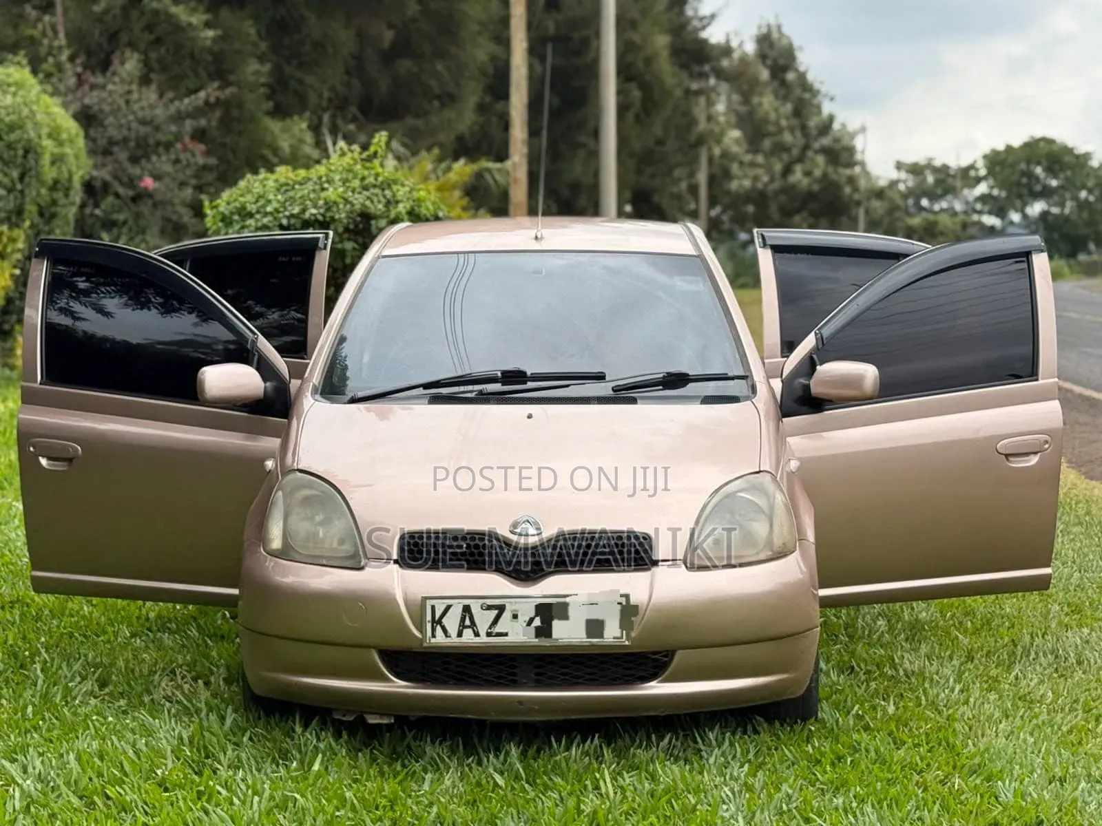 Toyota Vitz 2002 Gold