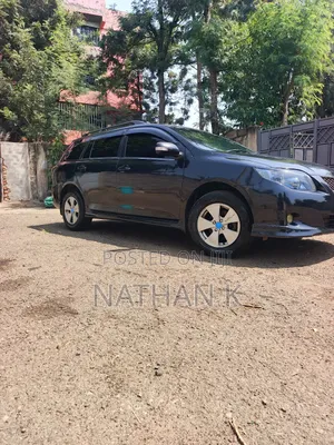Toyota Corolla Fielder 2008 Black