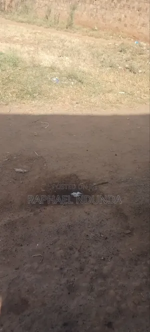 Agricultural Land Next to River Athi