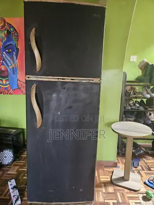 260l Lg Fridge