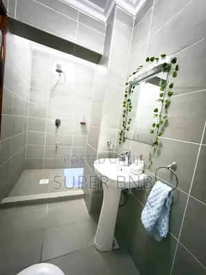 Cosy and Fully Furnished Air BNB in Ruiru Kamakis