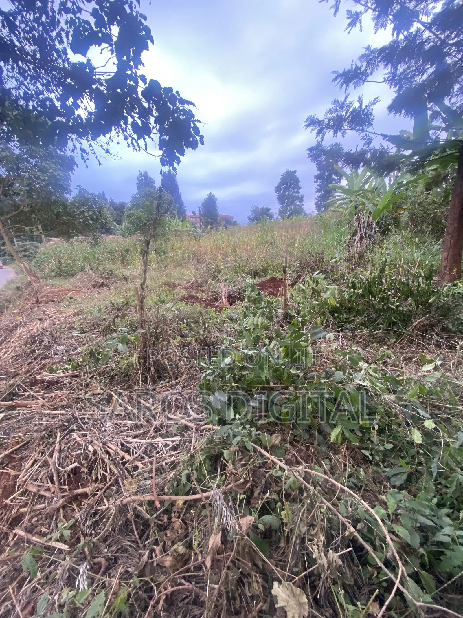 1 Acre in Ruaka Touching Tarmac