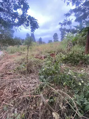 1 Acre in Ruaka Touching Tarmac