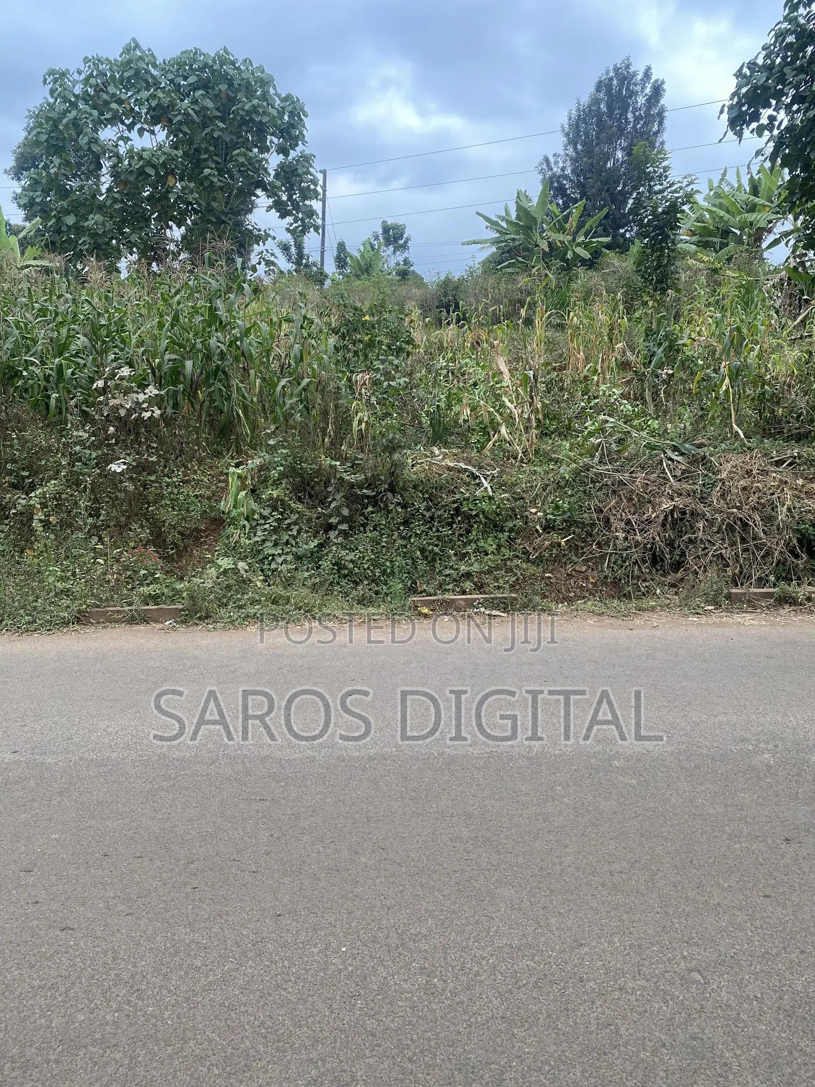 1 Acre in Ruaka Touching Tarmac