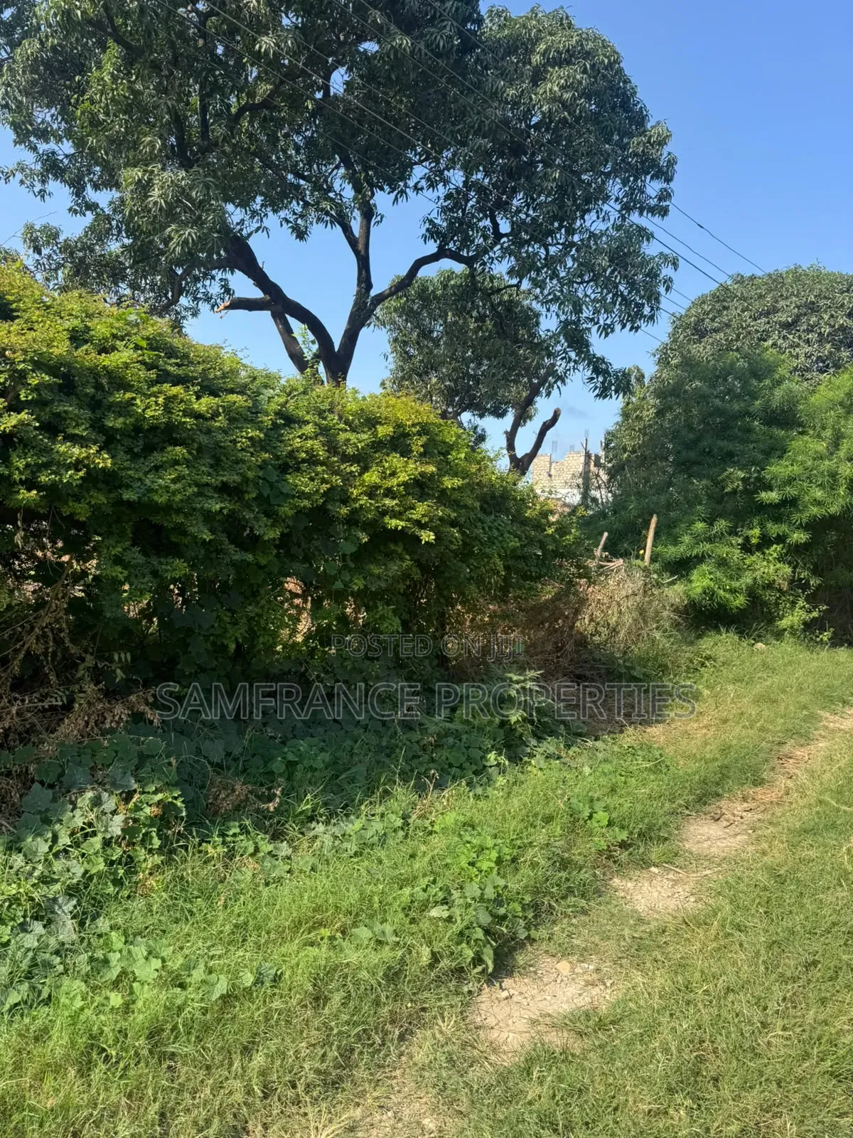 Prime Quarter an Acre Plot Mwembelegza Bamburi Mtambo
