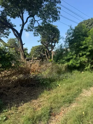 Prime Quarter an Acre Plot Mwembelegza Bamburi Mtambo