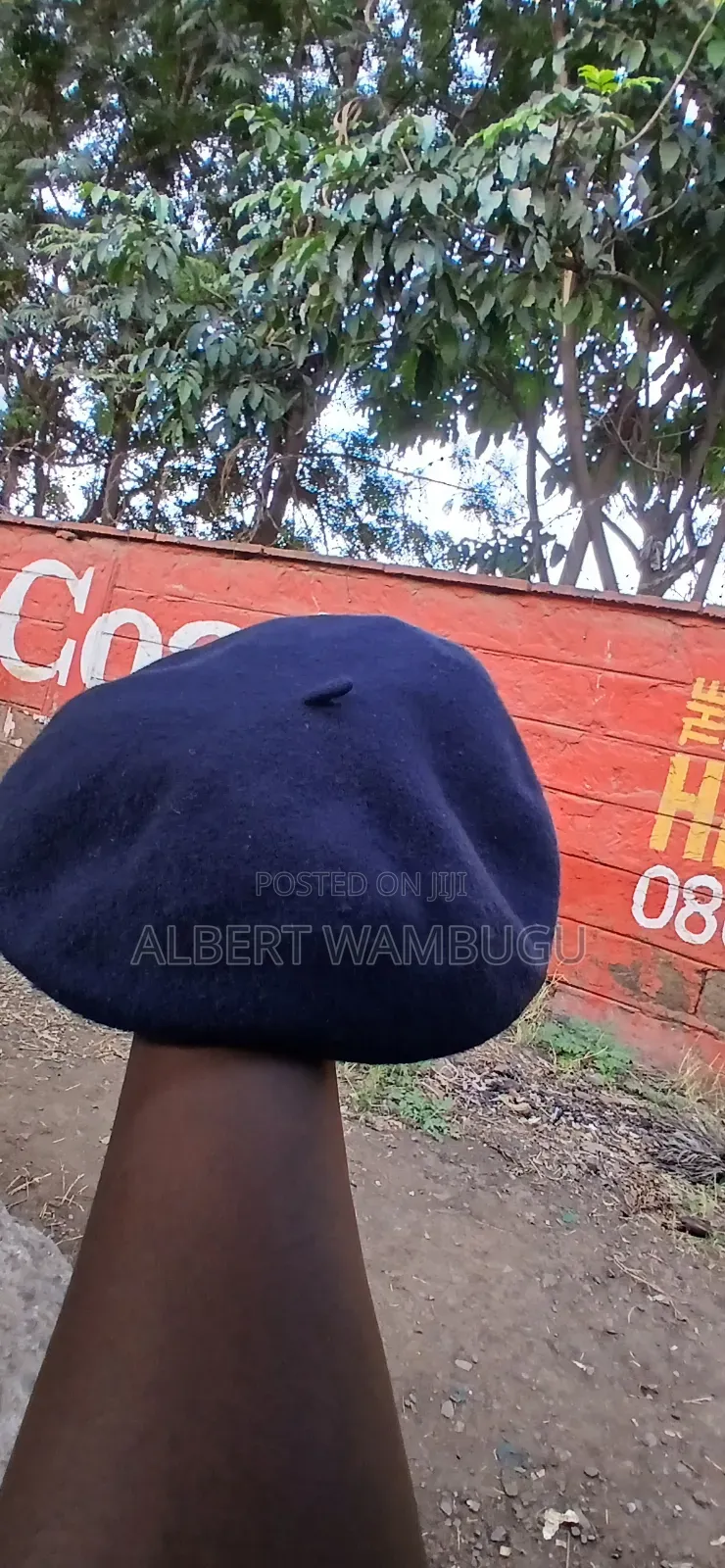 Alberto Collections