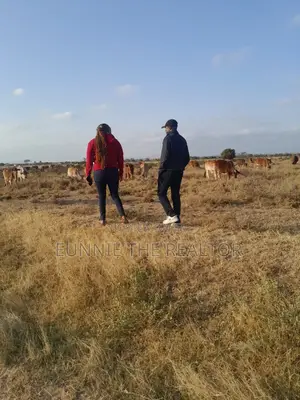 Selling Lands
