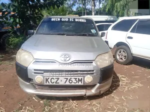 Toyota Probox 1.3 DX Comfort 2WD 2015 Silver