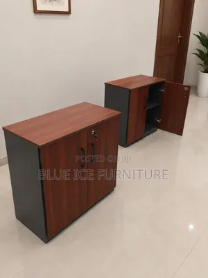 2 Door Office Storage Cabinet