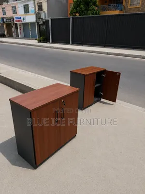 2 Door Office Storage Cabinet