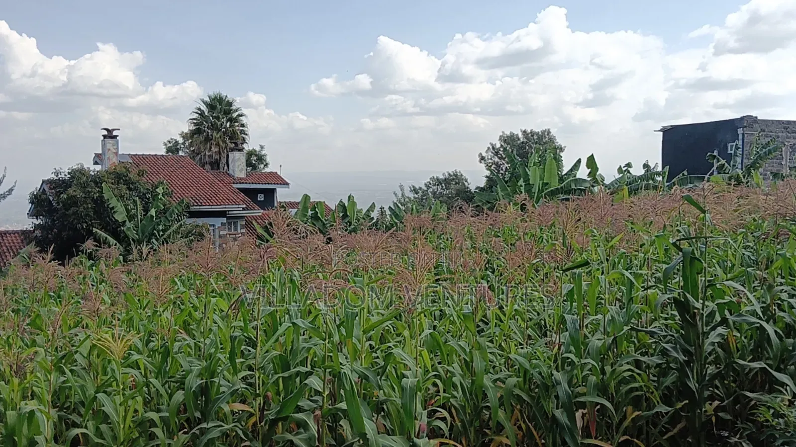 For Sale 1/2 Acre in Millimani Block 12