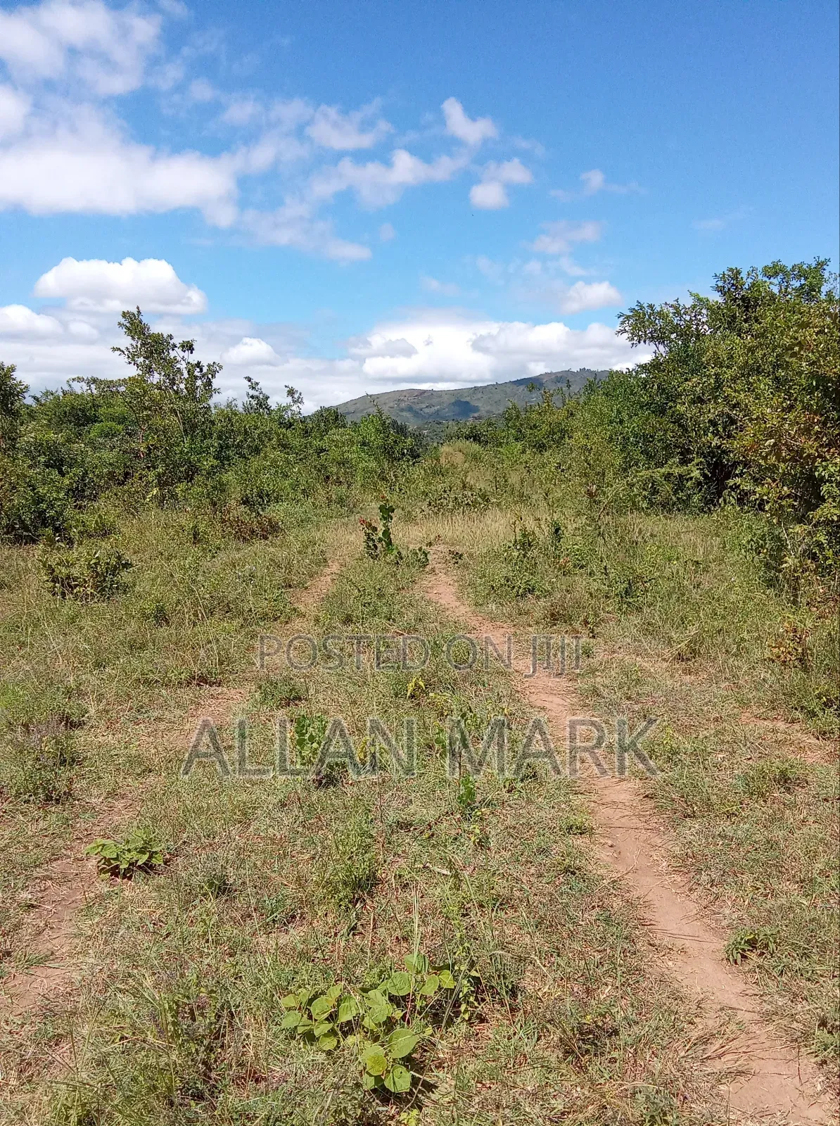Makuyu Mananja