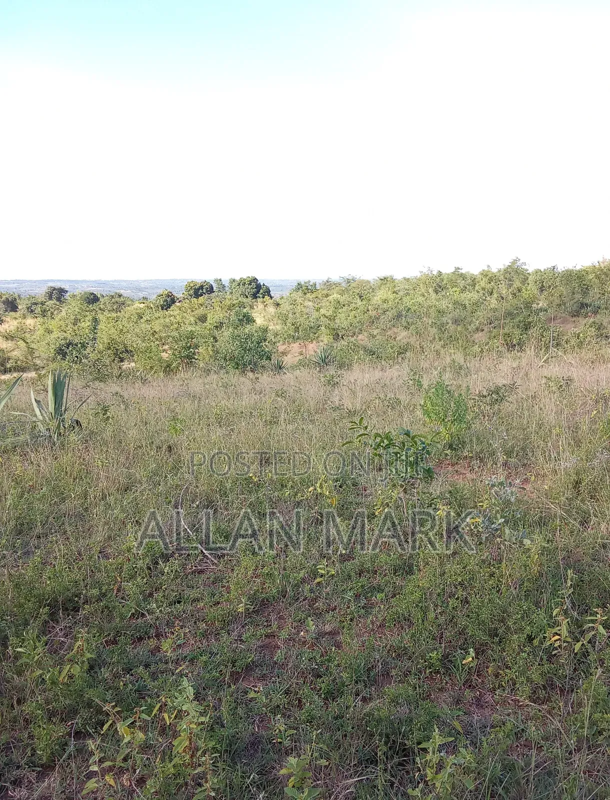 Makuyu Mananja