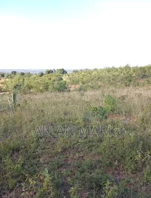 Makuyu Mananja