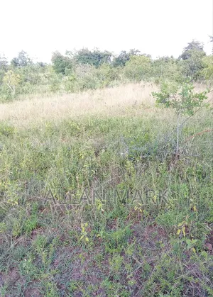 Makuyu Mananja