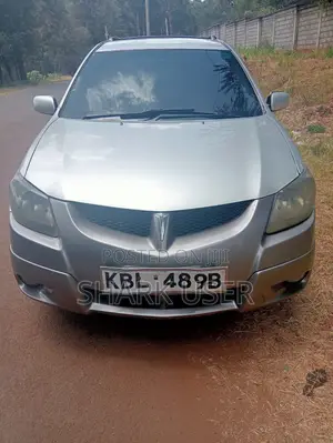 Toyota Voltz 2003 Gray