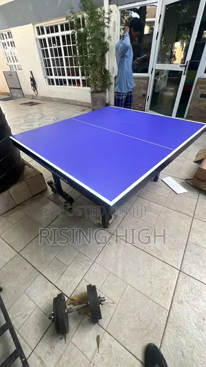 Ping Pong Table/ Table Tennis. Fully Foldable